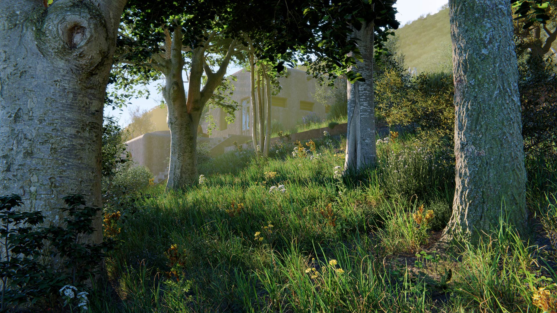 pro-26-photogrammetry-trees