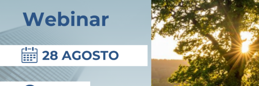 Presentazione 28 Agosto ore 10:00