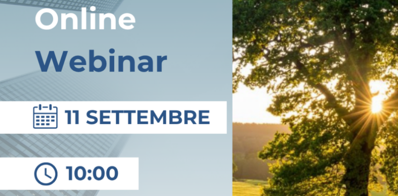 lumion 11 SETTEMBRE