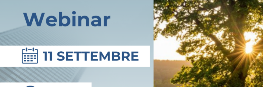Presentazione 11 Settembre ore 10:00